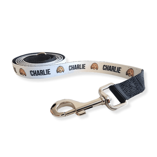 Custom Dog Leash - Fluffes.com